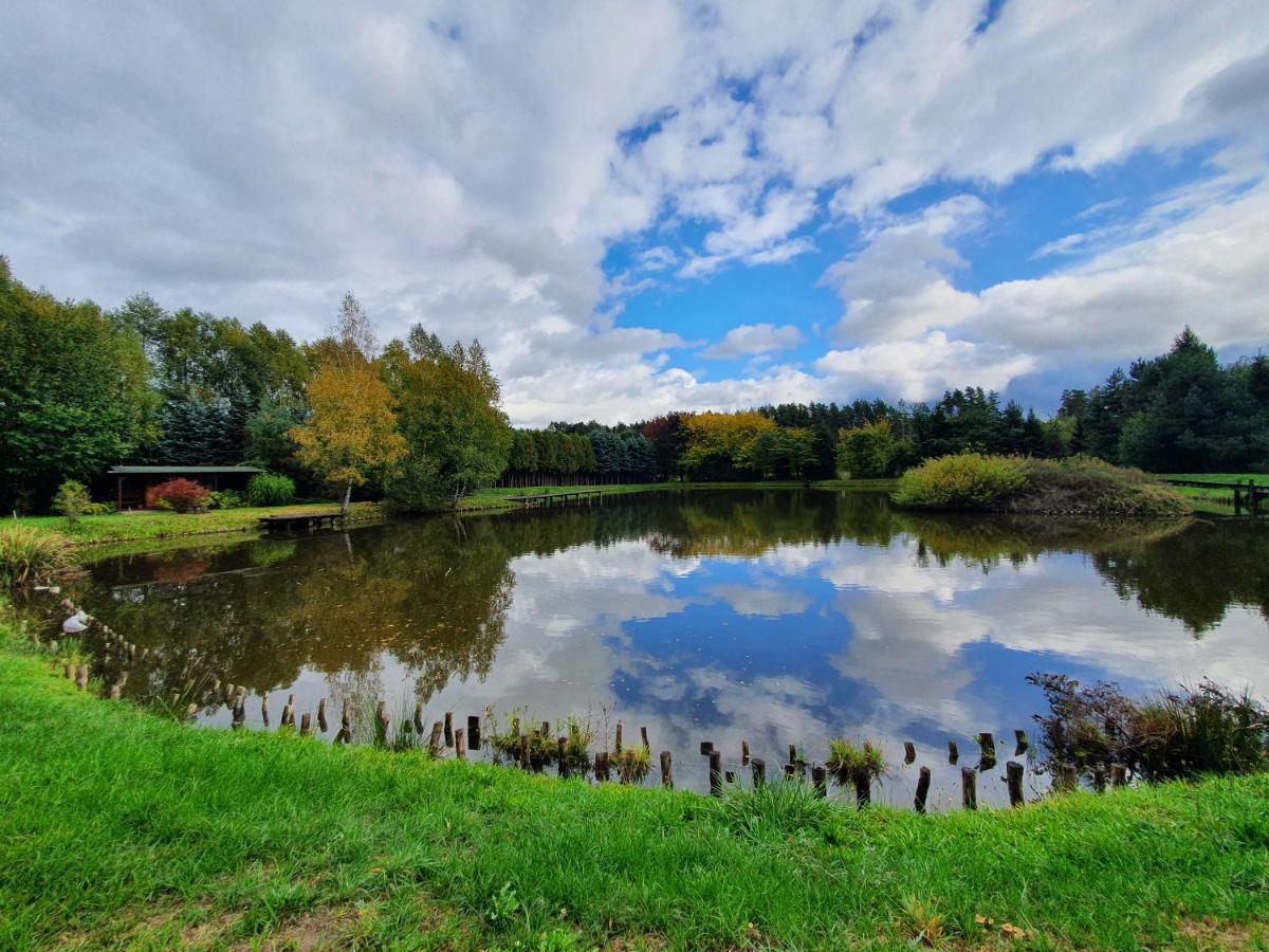 Las I Staw Roztocze Wolka Losiniecka ภายนอก รูปภาพ